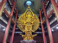 -上海东林寺(金山区)