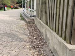 -南京明基医院