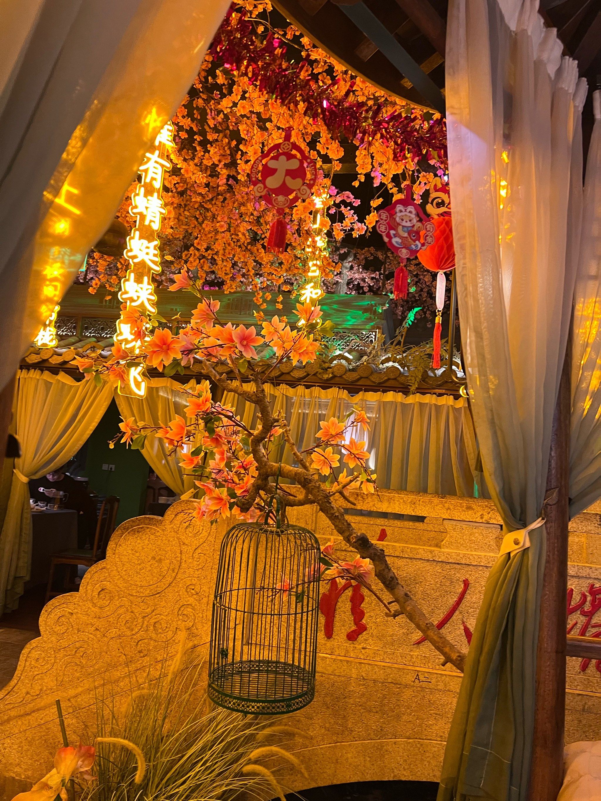 环境很好,服务很周到,菜式非常美味,一直