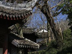 -上海佘山国家森林公园天马山园