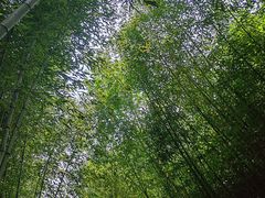-竹泉村旅游度假区