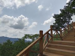 -大岭沟猕猴桃谷风景区