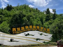 -西双版纳原始森林公园