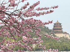 -颐和园