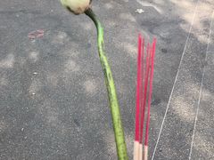 -查龙寺