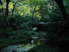 -杭州植物园