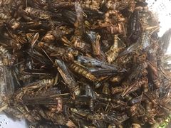 -王村姑老土炕莜面村(桥东店)