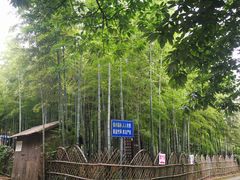 -张鸟园农家乐(张鸟园店)