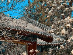 -香山公园