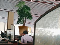 -首都机场t3-c国航两舱休息室