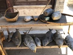 -盛世南宫影视城(北普陀影视城)