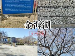 -天津金海湖
