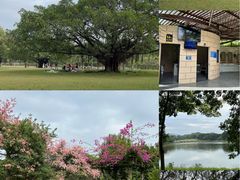 -东莞植物园