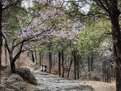 -阳台山自然风景区