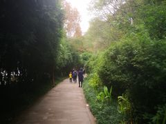 -重庆彩云湖湿地公园
