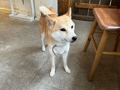 -三目仓咖啡(贤南路店)