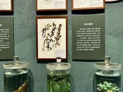 -中国湿地博物馆