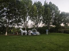 -静之湖度假区
