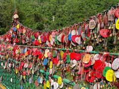 -西双版纳原始森林公园