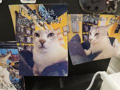 -谜盒子奇幻密室(南屏店)