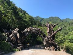 -龙湾潭国家森林公园