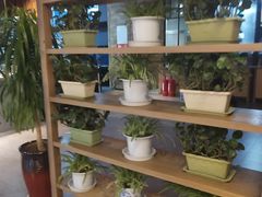 -鑫火锅(陇鑫大厦店)