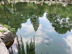 -趵突泉景区