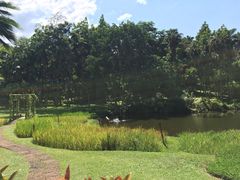 -四季酒店下午茶