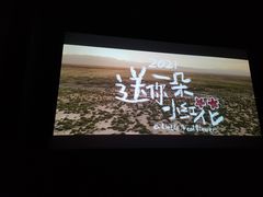 -万达影城(开福万达广场IMAX店)