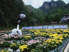 -浏阳石牛寨风景区