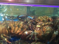 -盒马鲜生(红莲店)