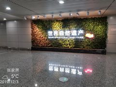 -张家界荷花国际机场