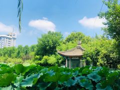 -莲湖公园