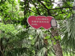 -苏州大学理想眼科医院