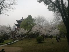 -堤角公园
