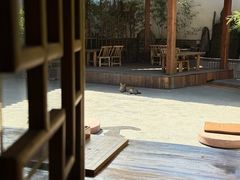 -少林功夫文化中心·独门独院