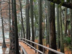 -东湖落雁景区