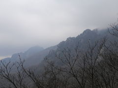-牛背梁国家森林公园