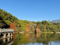 -深圳仙湖植物园