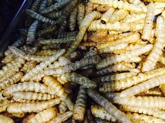 -昆虫窝子·特色云南菜(拓东路总店)