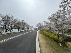 -羊山湖公园