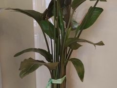 -瑞尔齿科(上海长风大悦城店)