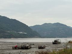-北岐滩涂