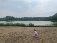 -东郊湿地公园