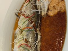 -老吉堂上海本帮菜(望京万象汇店)
