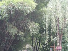 景点-房湖公园