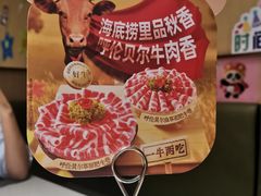-海底捞火锅(太阳宫凯德mall店)