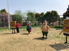 -南汇水蜜桃采摘(大团店)