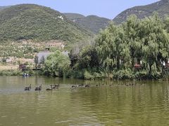 -静之湖度假区