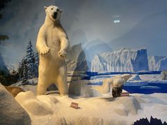 -陕西自然博物馆